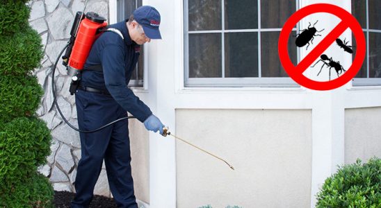 Gölköy Tahtakurusu İlaçlama böcek ilaçlama ve haşere kontrolü — ilaclama-tr.com